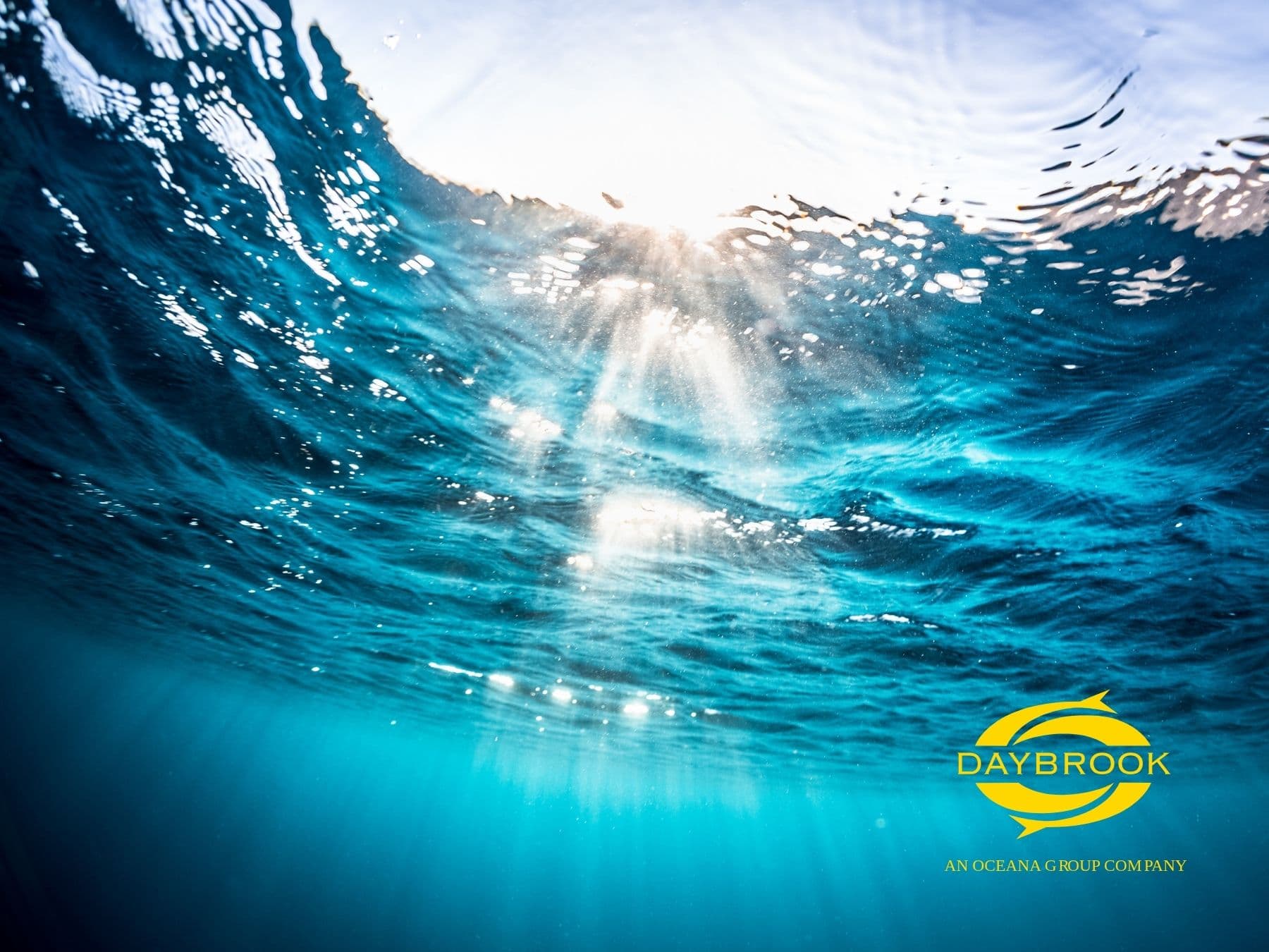 Daybrook Fisheries legacy brand system