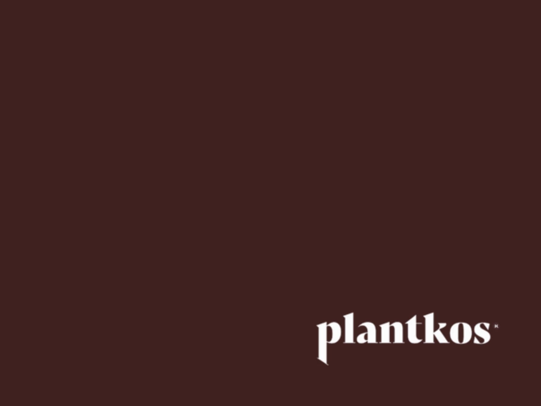 Plantkos brand communications campaign