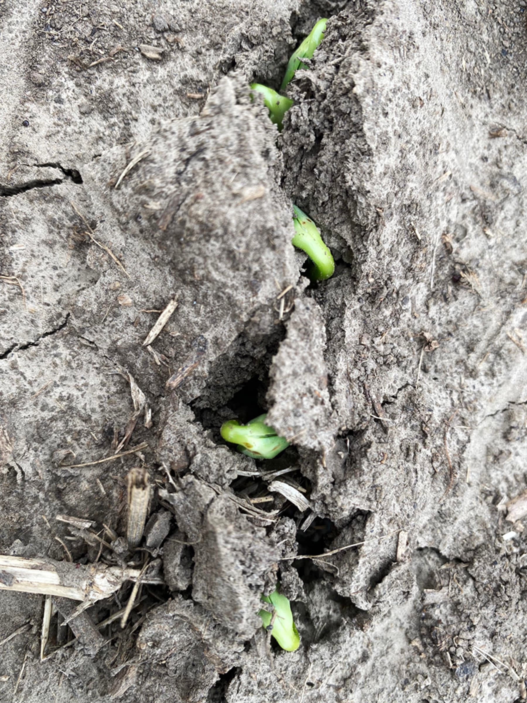 Growth exposes the cracks — Nebraska 2023